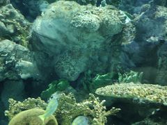 -上海海洋水族馆