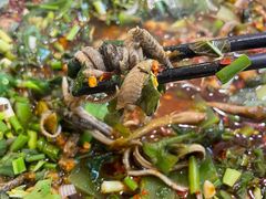 -乐山第一家临江鳝丝(茶坊路店)