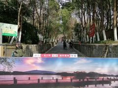 -合肥野生动物园