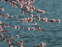 -颐和园