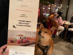 -the rug 飞毯 (朝阳公园店)
