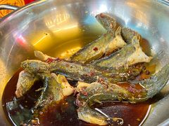 -金海椒罐罐鲢鱼(东方桂苑店)