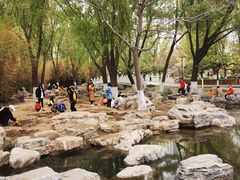 -莲花池公园