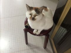 -苏州市观前土特产商店(中兴商楼店)