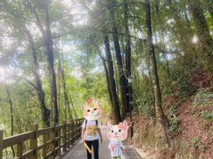 -广州市流溪河国家森林公园