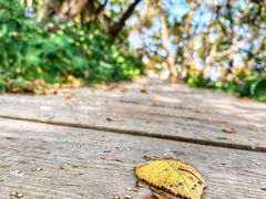 -白草畔自然风景区