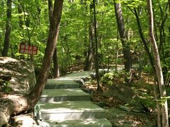 -五女峰国家森林公园