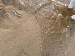 -威海国际海水浴场旅游区