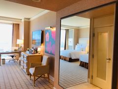 -拉斯维加斯永利酒店