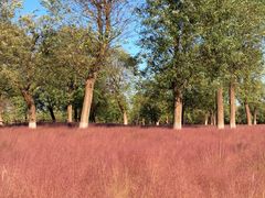 -汉长安城未央宫国家考古遗址公园