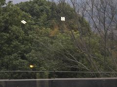 -深业半汤御泉庄温泉