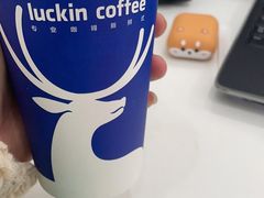 -瑞幸咖啡(龙湖北城天街北馆店)