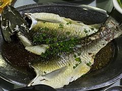 清蒸生坑皖鱼-石岐乳鸽村(南海第三分店)