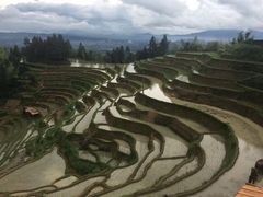 -紫鹊界梯田景区