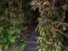-庐山西海国际温泉度假村