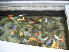 -泉乐坊步行街(烟酒特产平价超市店)