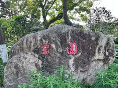 -江心屿景区