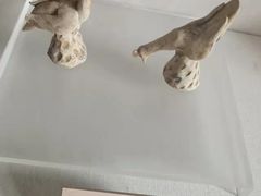 -北京动物园-畅观楼