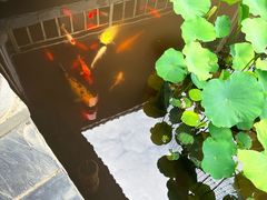 -醉香隆.山水庭院.湖北菜(东湖店)