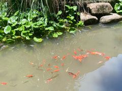 -中国湿地博物馆