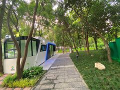 -成都市活水公园