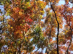 -香山公园-东宫门售票处