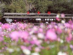 -红山村