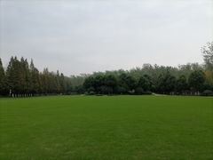 -合肥滨湖国家森林公园