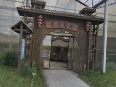 -上海都市菜园
