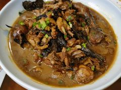 -徂徕山森林康养度假谷温泉