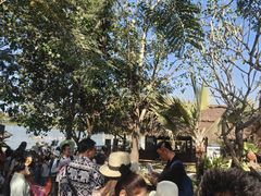 -西双版纳傣族园