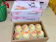 -老袁家蜜桃农场·阳山水蜜桃