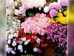 -植物学家的女儿(北马道巷店)