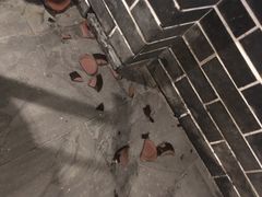 -巴人堂(女儿城店)