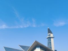 -盐城丹顶鹤湿地生态旅游区