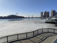 -海河外滩公园