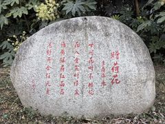 -莲湖公园