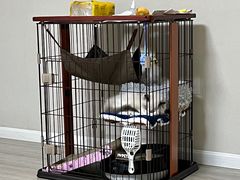 -1013 PET SHOP精品宠物商店(丁香店)