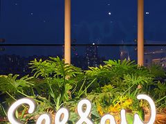 -Seesaw Coffee(朝阳大悦城店)