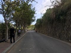 -仙岳公园