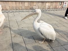 -泉城欧乐堡梦幻世界