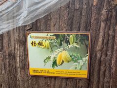 -呀路古热带植物园