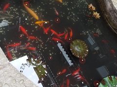 -映像威海·海鲜味道(市区店)