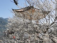 -广州市流溪河国家森林公园