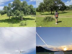 -塞罕坝国家级自然保护区