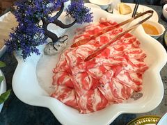 -百草滩羊清水涮羊肉·清真·宁夏盐池滩羊(莲花桥店)