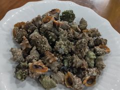-食海部落