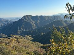 -大岭沟猕猴桃谷风景区