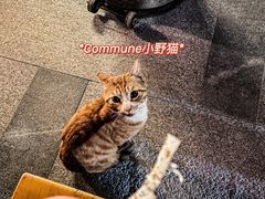 -COMMUNE幻师(花园道店)