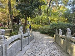 -汇龙潭